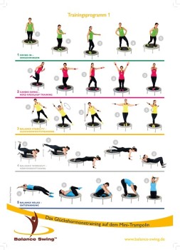 Trainingsposter: Balance Swing™ (nur Bild)